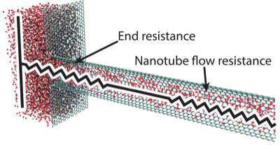Water transport in boron nitride nanotubes