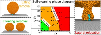 Contaminant removal from self-cleaning surfaces